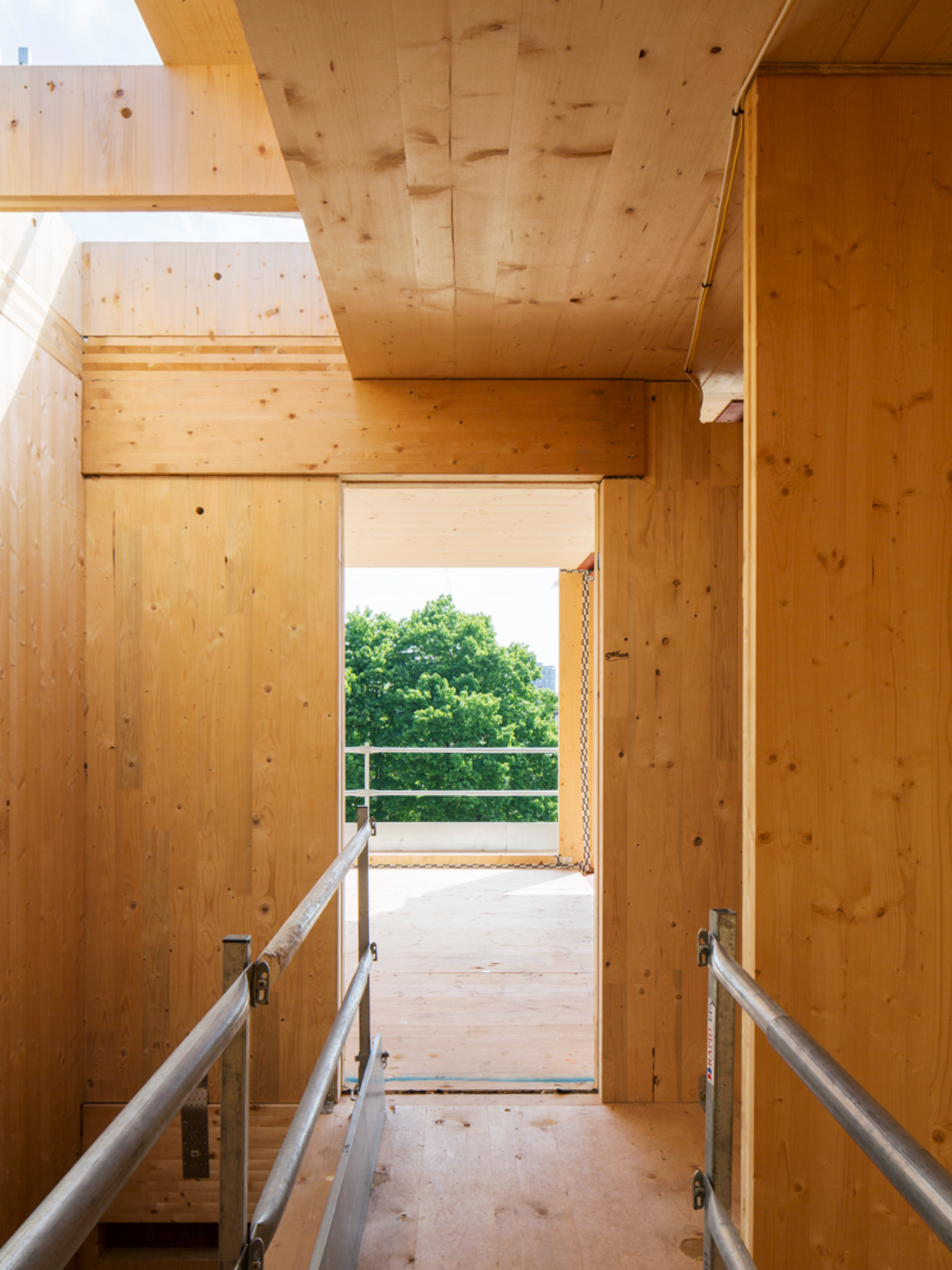 Building with timber: Hoxton Cinema